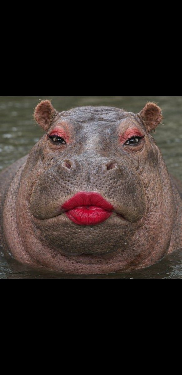 Beyonce 🇿🇦 tweet media