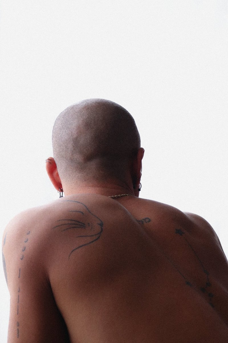 André Rocha tweet media