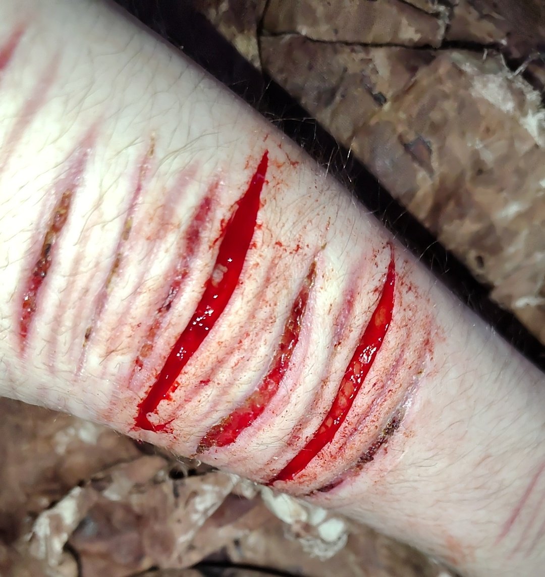 ☠ 𝔰𝔦𝔡 - TW tweet media