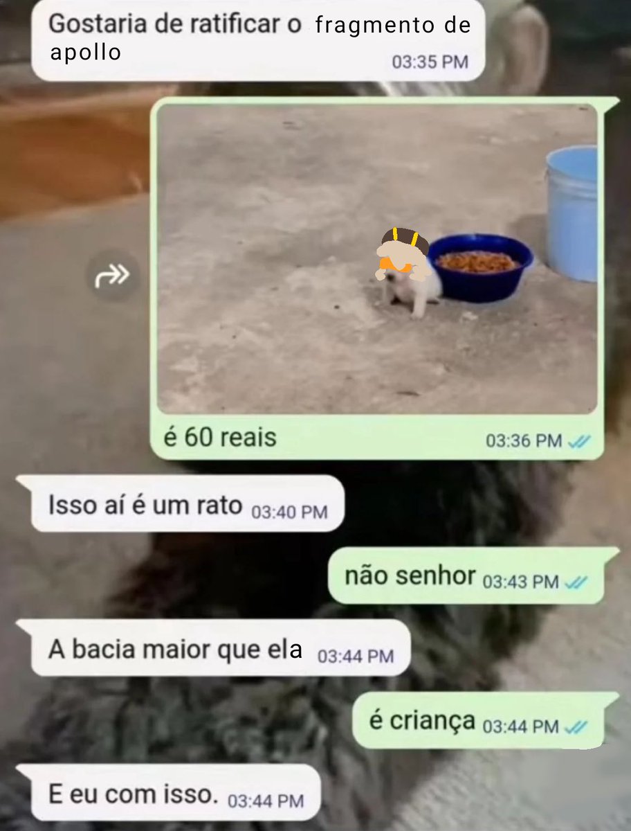 Solariela. tweet media