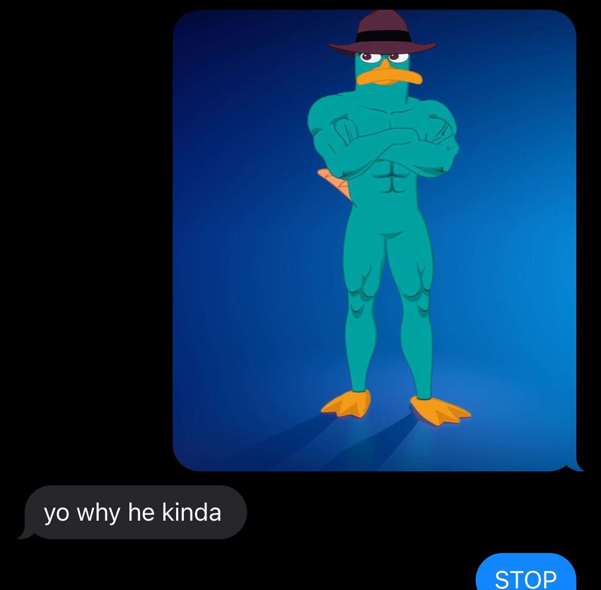 spunkyyspam's tweet photo. The actual text I received from my sister who also grew up watching phineas and ferb https://t.co/qiXsgqFlA8