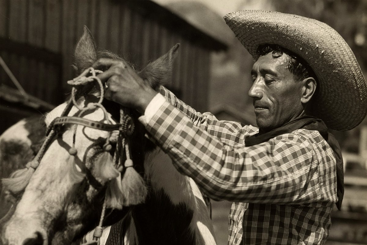 Mexico Solidarity Media tweet media