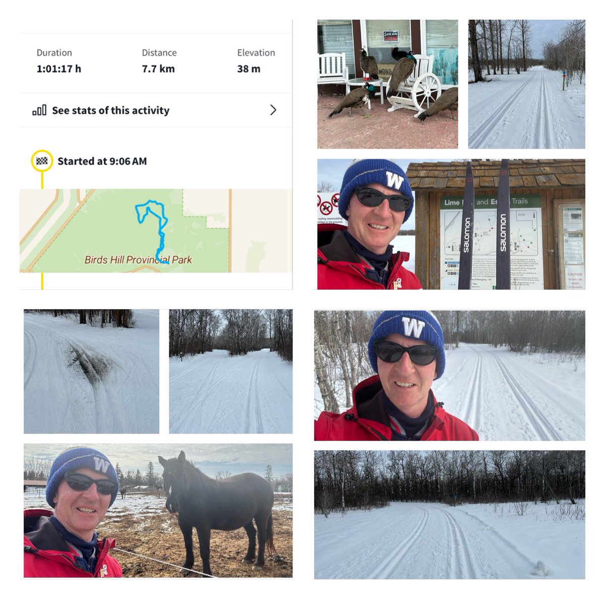 James Torrance tweet media