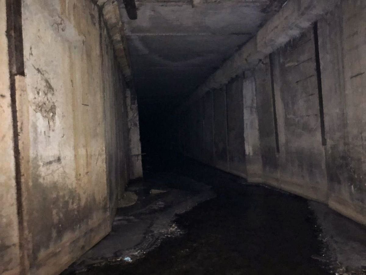 amalgamatomaton tweet media