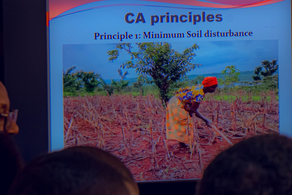 Ngoma District tweet media