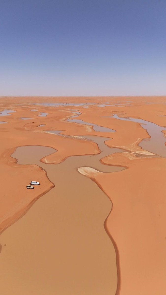 Alex Terry tweet media