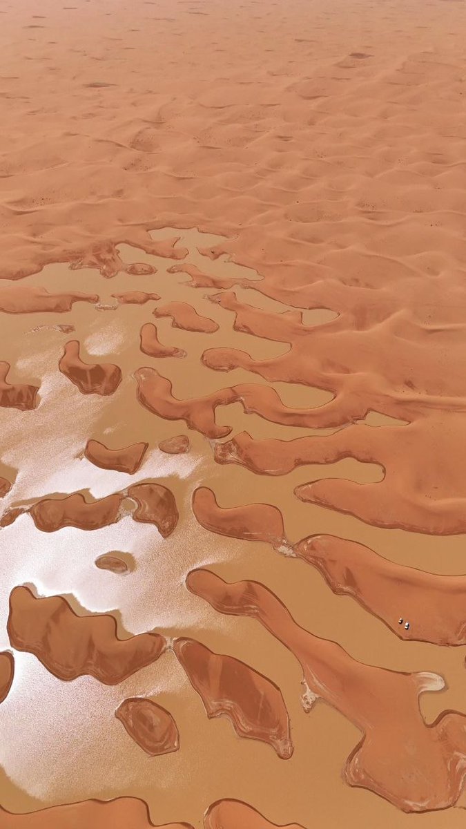 Alex Terry tweet media