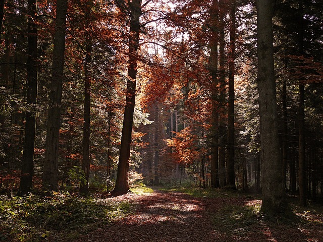 Andy Griffin tweet media