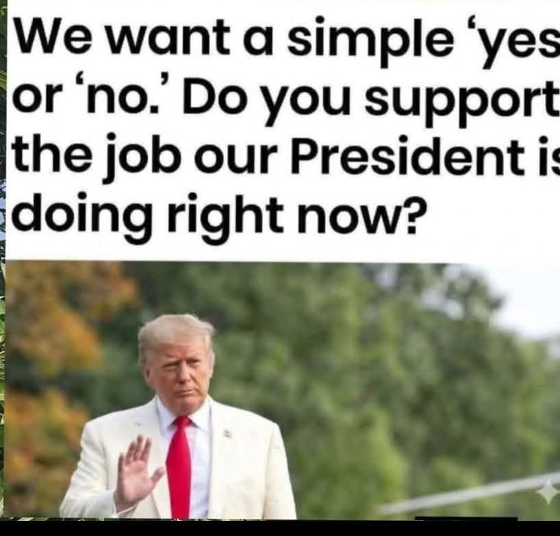 Nimra Shahzadi ❣️ tweet media