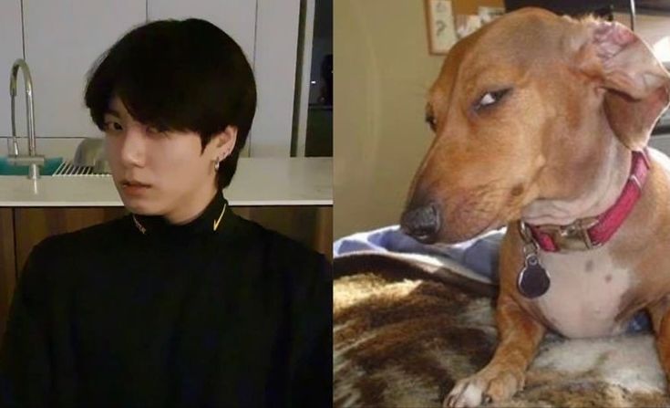 Eu rodando todo tipo de playlist no meu tablet fudido q só falta explodir e tem gente dizendo que nem tudo é stream