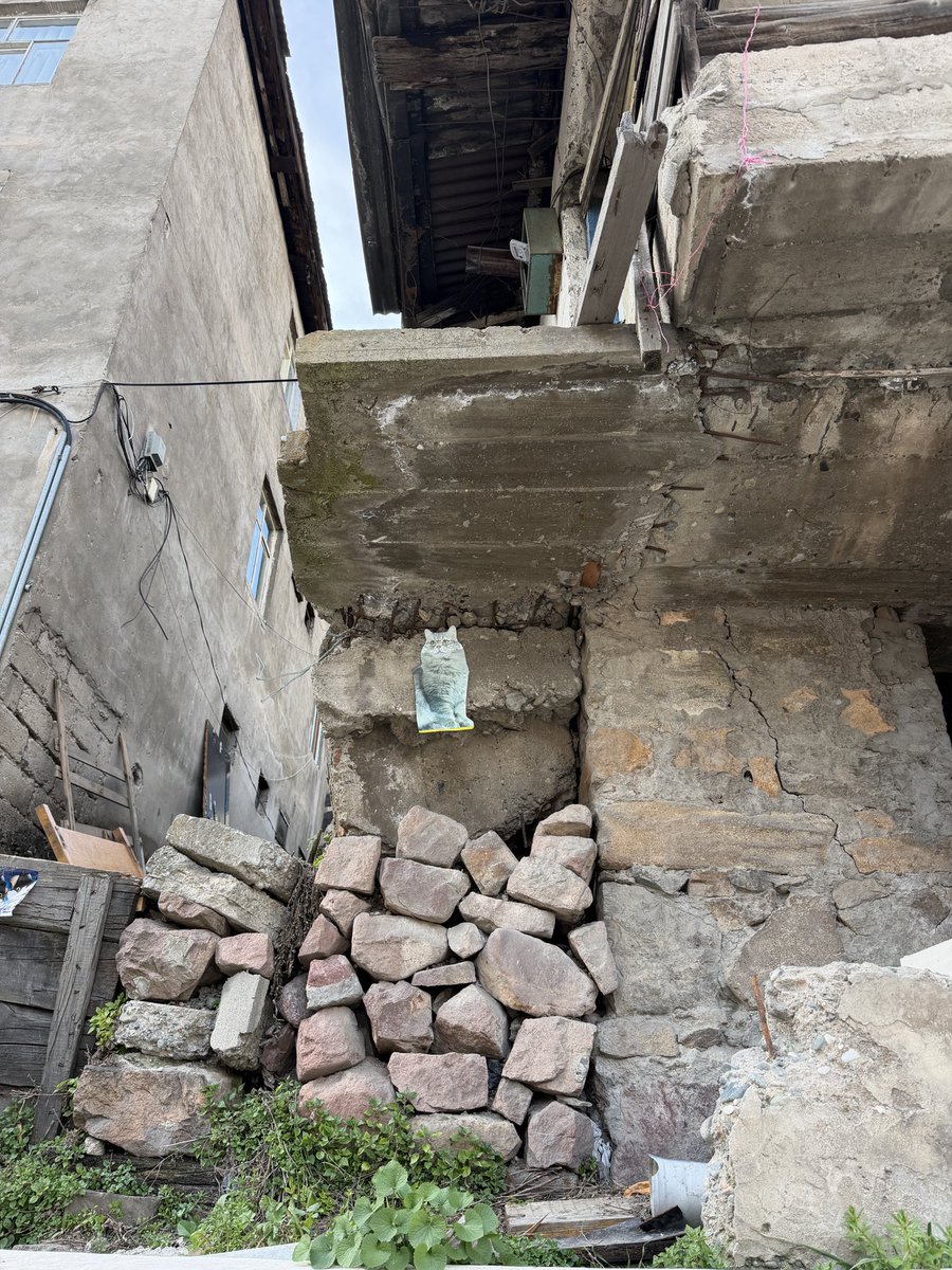 kötü ihtimaller perisi (@lachicadelley) on Twitter photo 