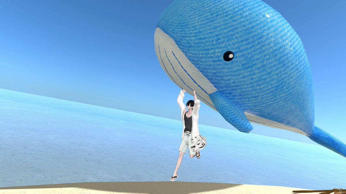 ドロシーちゃん tweet media