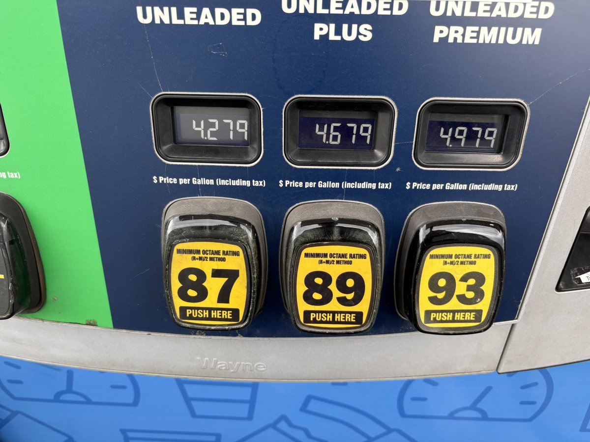 ♨️ BASEDLAYER🌡️ tweet media