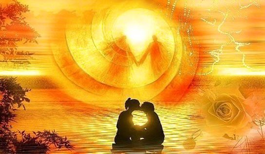 Anita James tweet media