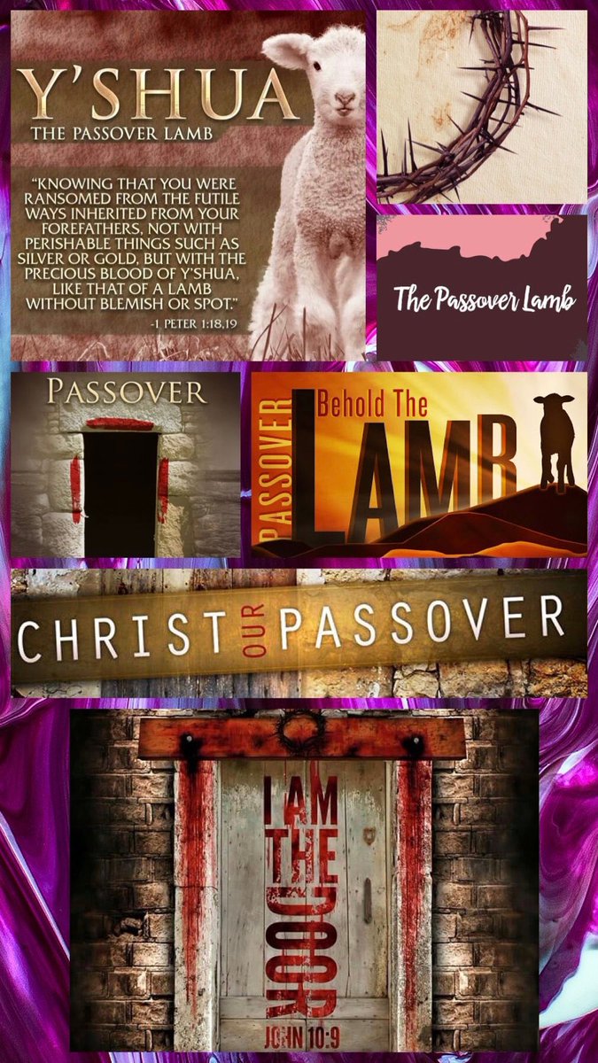 Servant of Yeshua 7 (@bbbthatsright) on Twitter photo 