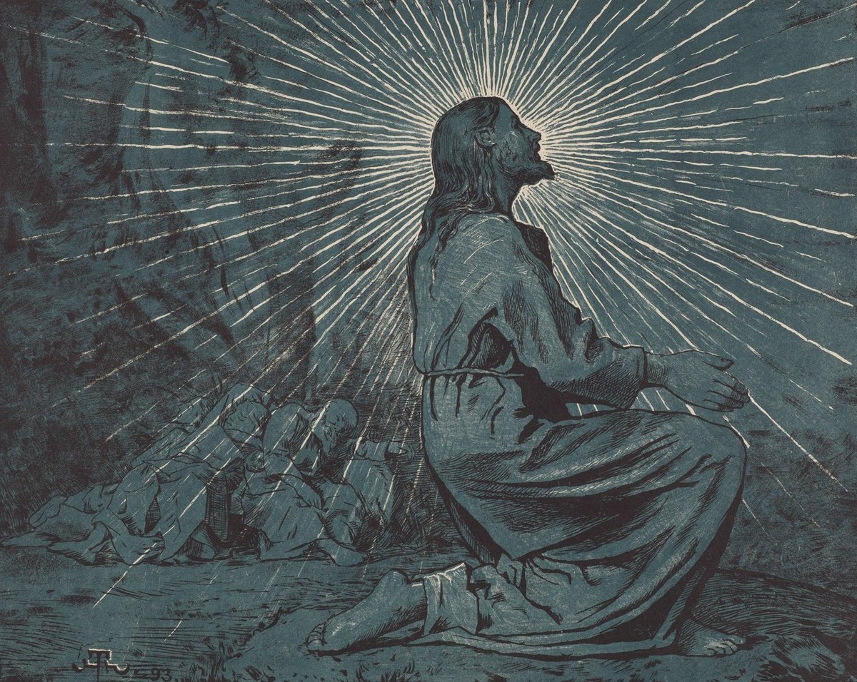 ⋉ ֍ ⋊ tweet media