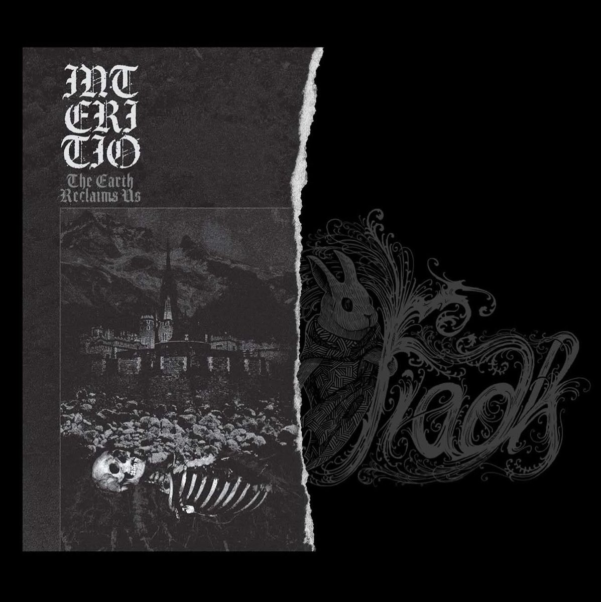 Pete Majors tweet media