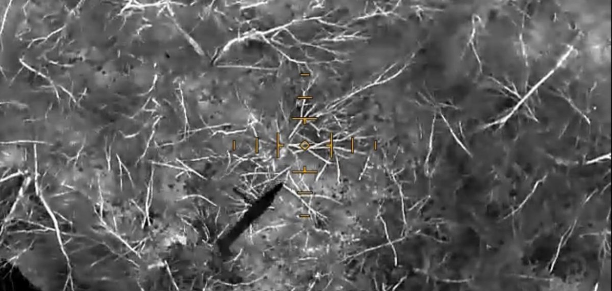 Nova Gorlivka tweet media