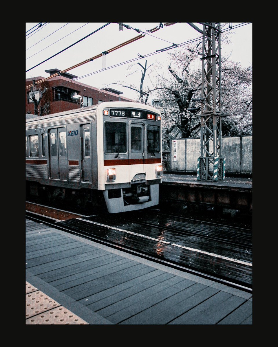 荏胡麻箱 tweet media