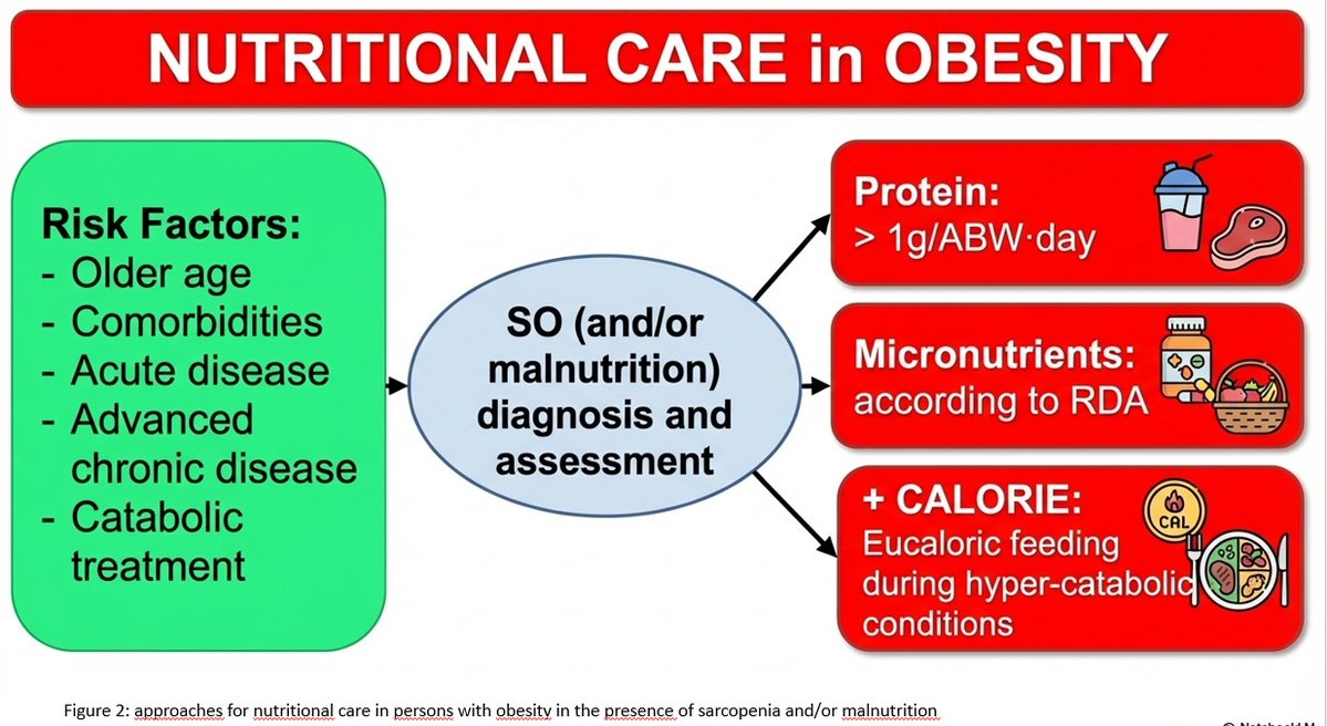 María Ballesteros #yoelijoEndocrino tweet media