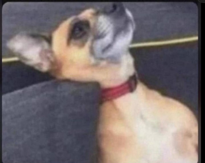 REEZOU 📈 tweet media