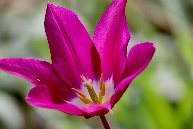 Larry Hunt tweet media