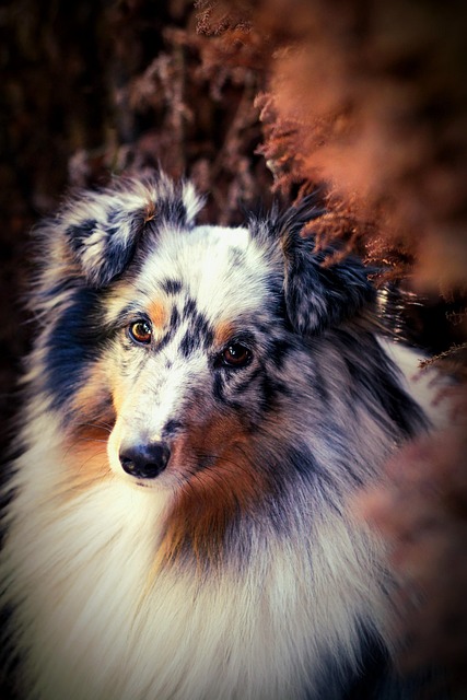 Angelica Smalley tweet media