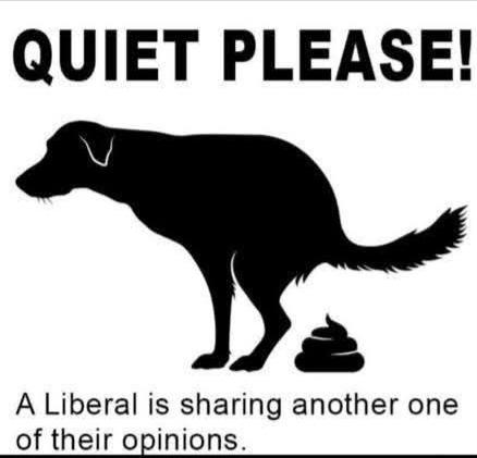 Captain Obvious tweet media