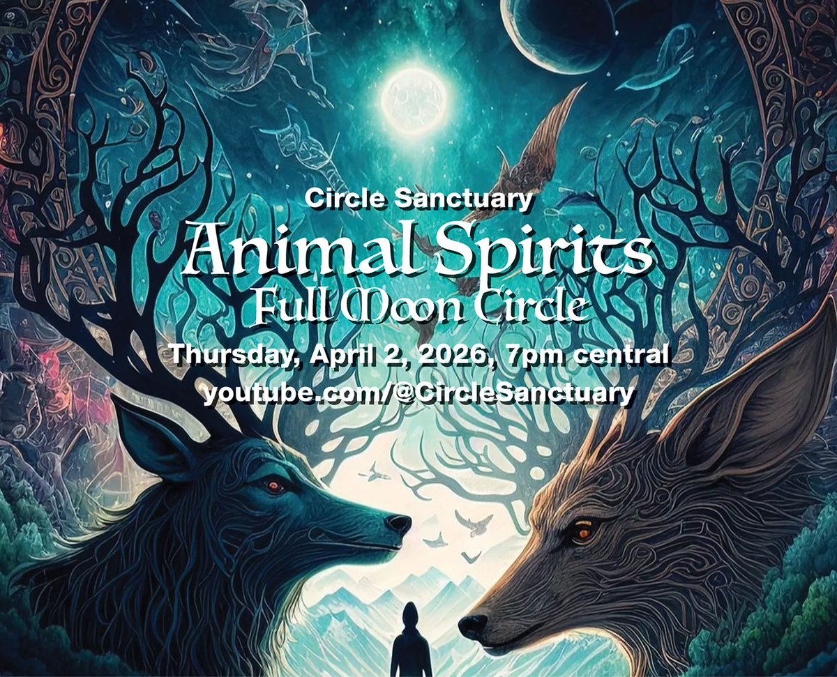 Selena Fox tweet media