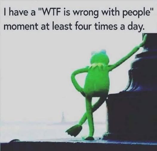 Anna 🌻💙 tweet media