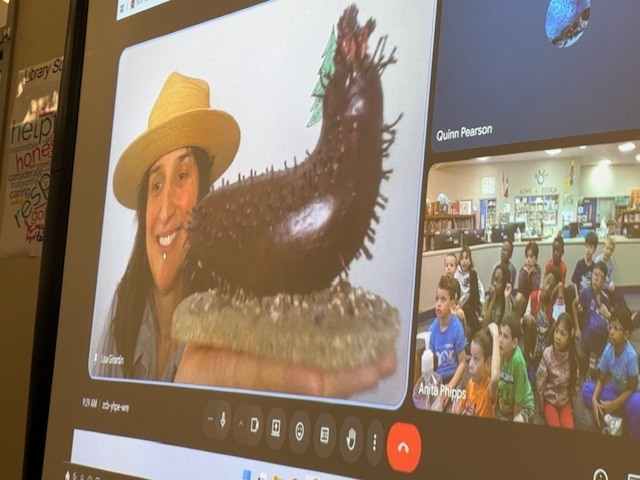 Mary Burks Marek Elementary tweet media