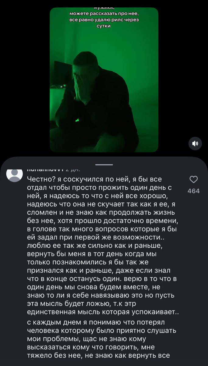 камилфа tweet media