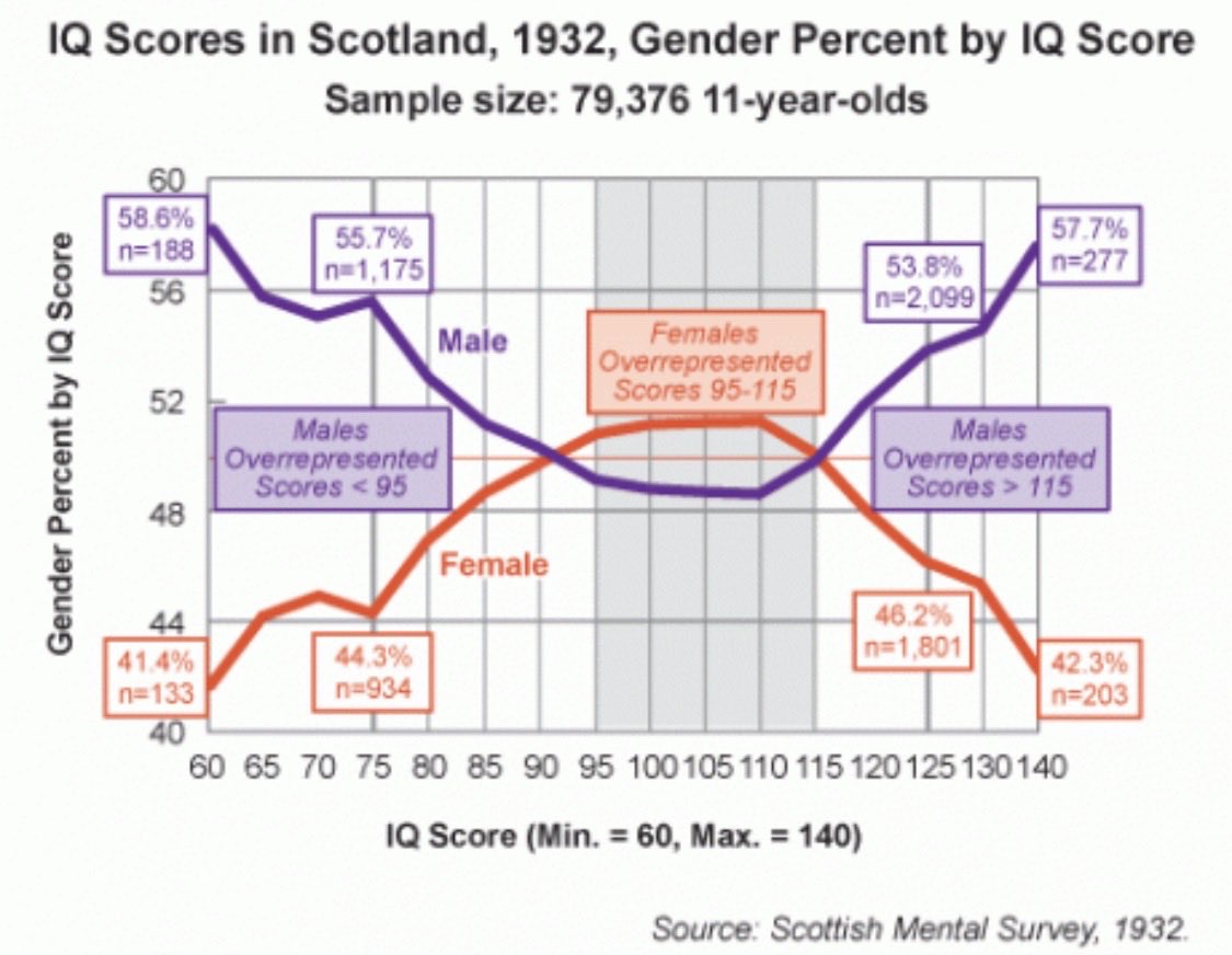 Orient Pilgrim tweet media