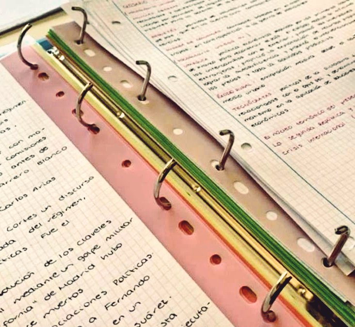 lily | studytwt tweet media