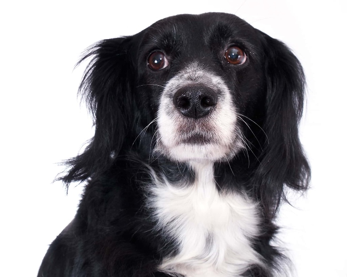 Sara B. Hansen tweet media