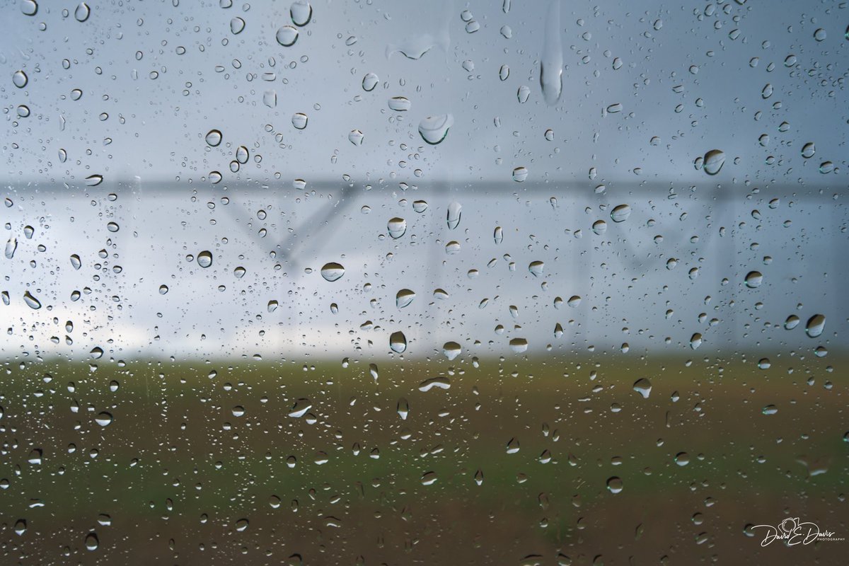 BigSkyCaptures's tweet image. 📷 Challenge: Share a photo looking out of a window! 

An abstract of a corn field through a car windshield from a time when northern Colorado used to get rain. It is so dry here now!

#photographychallenge #windows