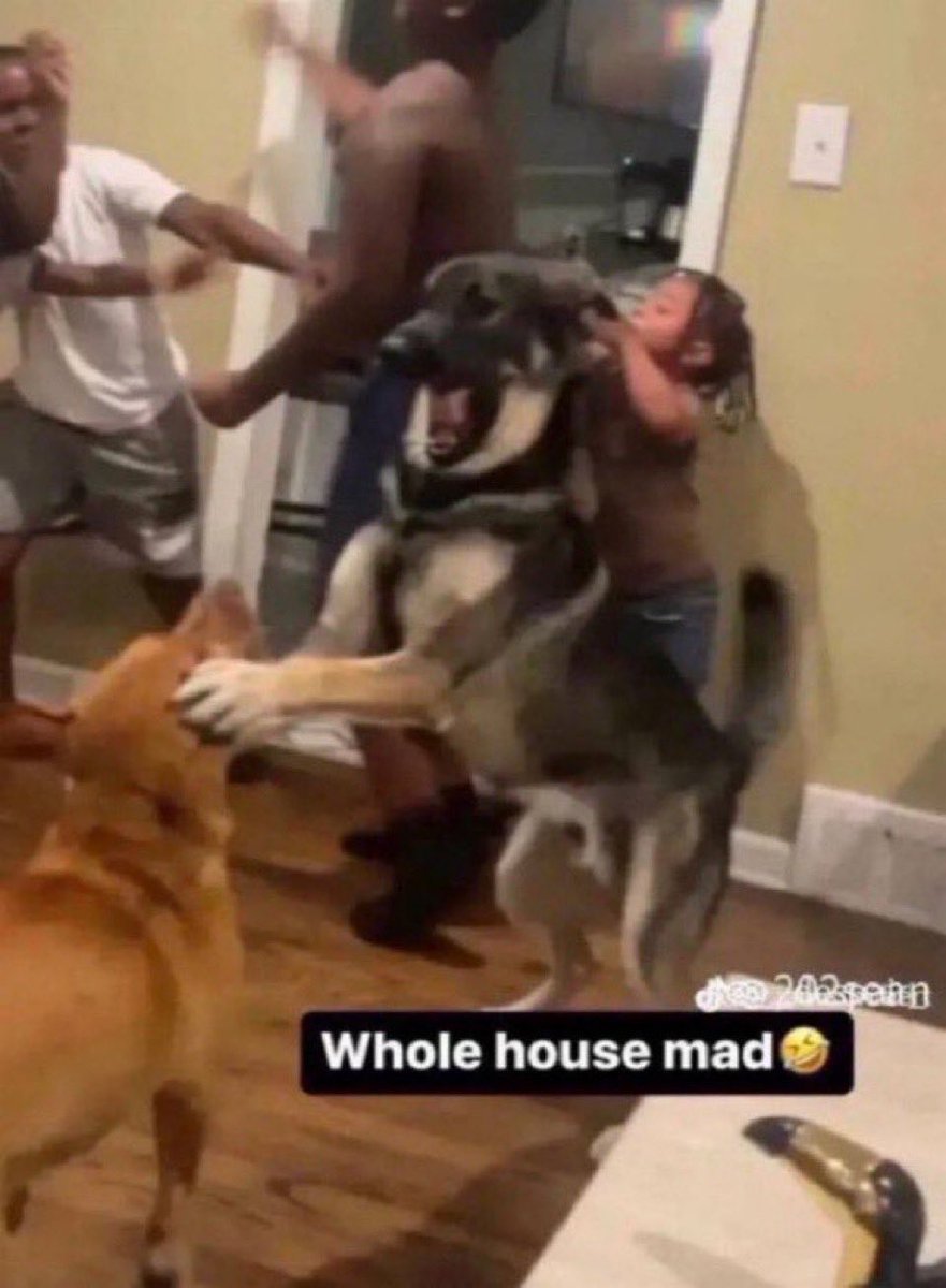 rina is mourning katseye tweet media