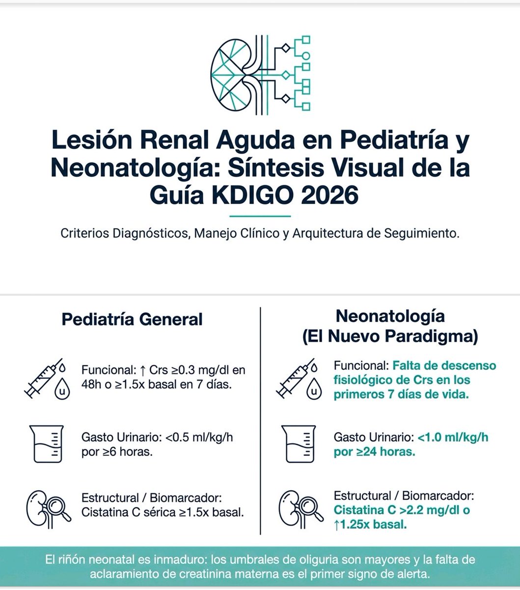 SLACIP17's tweet photo. https://t.co/NLjMigv7it
Hoy te traemos un carrusel de infografía #guias @goKDIGO 2026 los puntos más importantes en #pediatria #ucip #renal así como el enlace a las guías https://t.co/OVpHTPmLvs