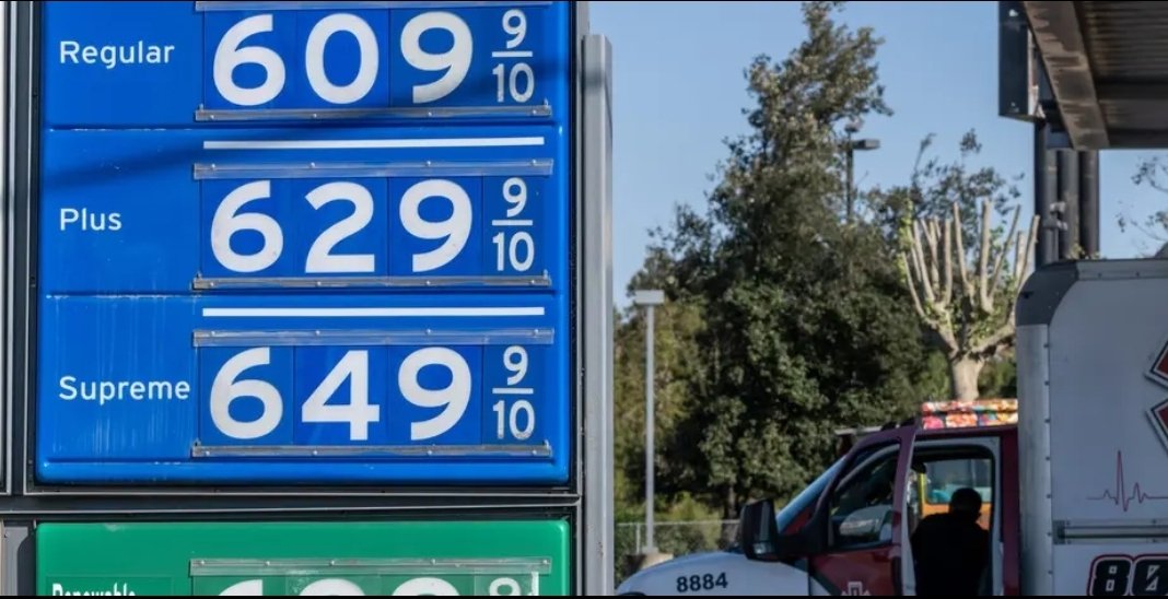 Prof Zenkus tweet media