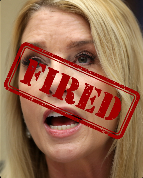 DonkConnects ♻️™ tweet media