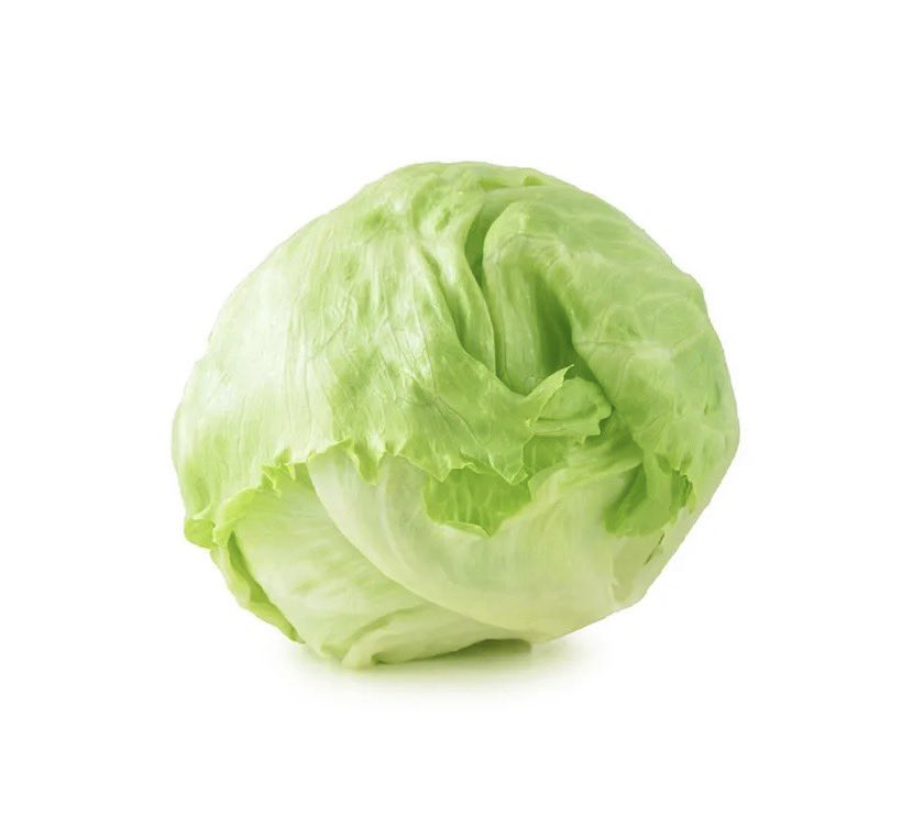 🐾🏴‍☠️🐾🏴‍☠️ tweet media