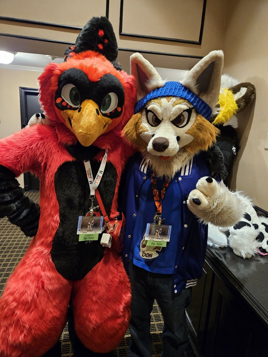 Don 🇵🇷 🔜 AC tweet media