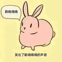 薛定谔的橘喵 tweet media