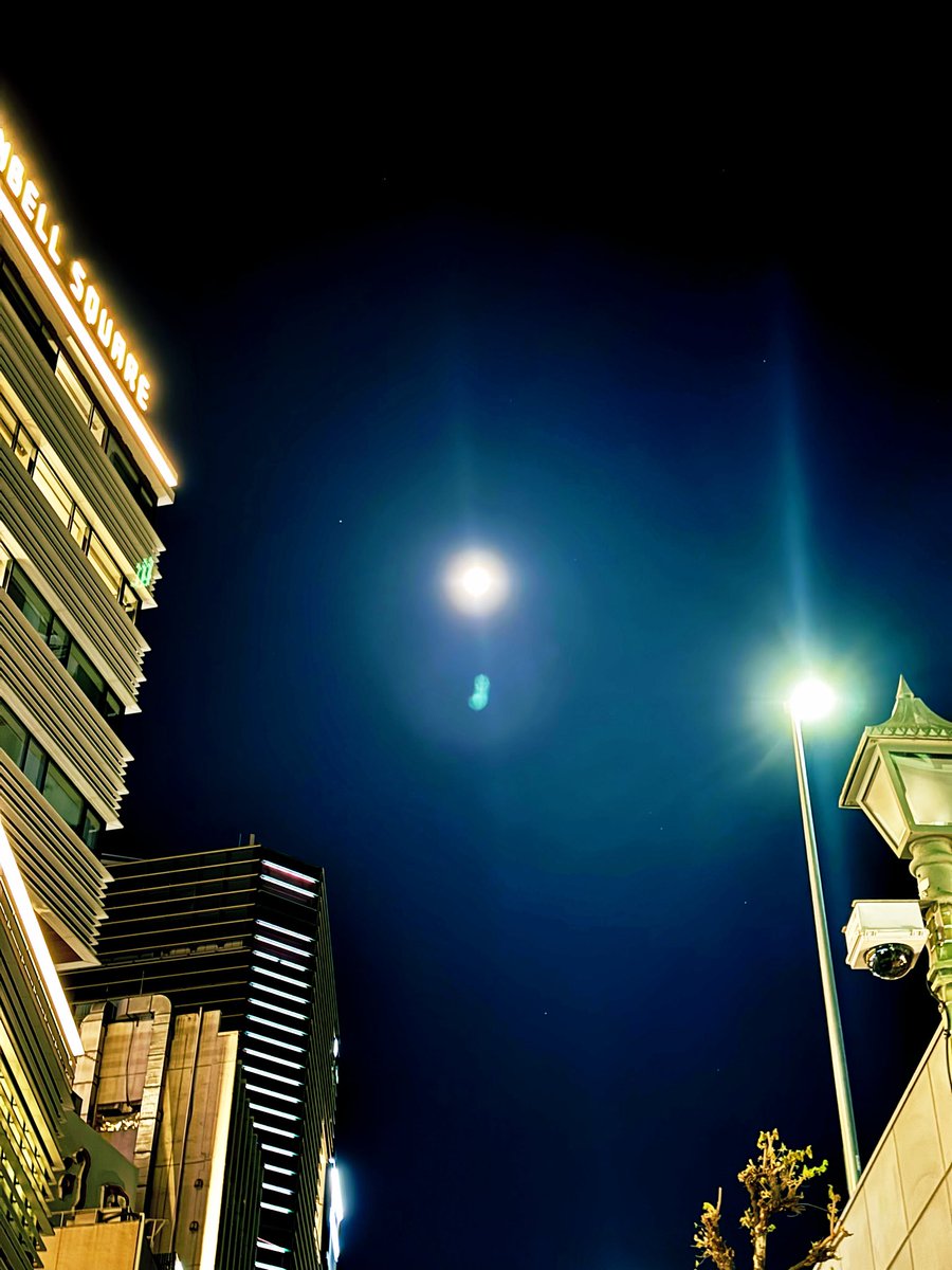 髙野ピエール tweet media