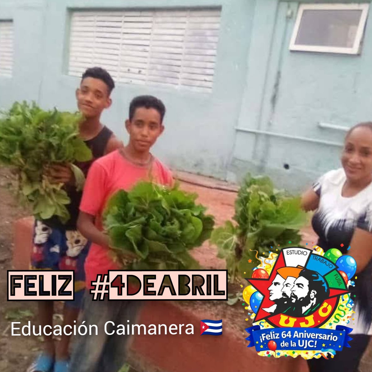 𝓐𝓵𝓮𝓪𝓷𝓭𝓻𝓸 tweet media