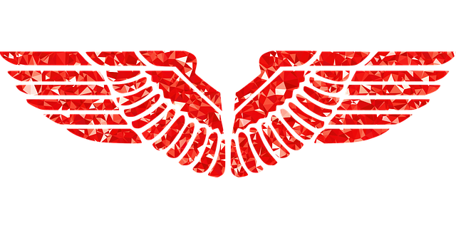 Isabella Murray tweet media