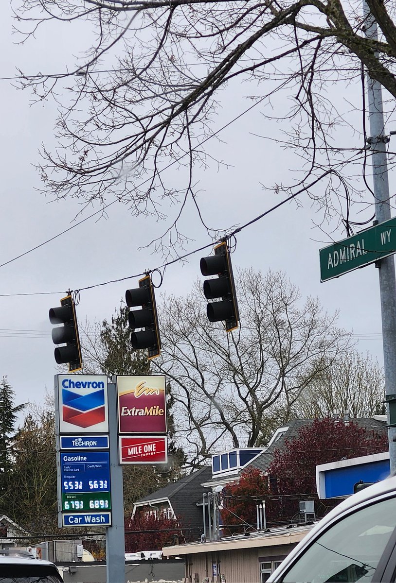 SusanInSeattle 🌸 💕🌸 tweet media