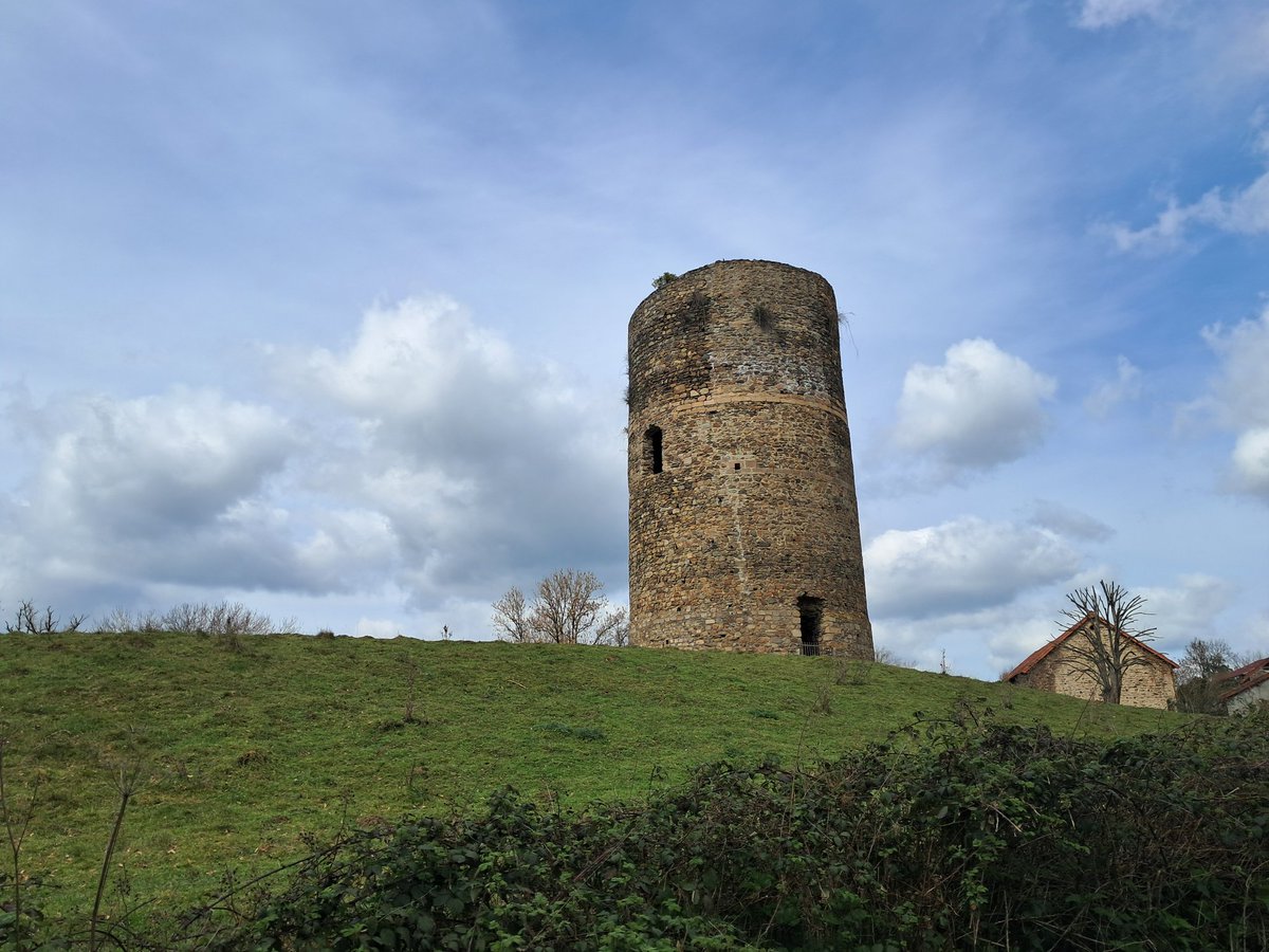 Ferrier Jean Michel tweet media