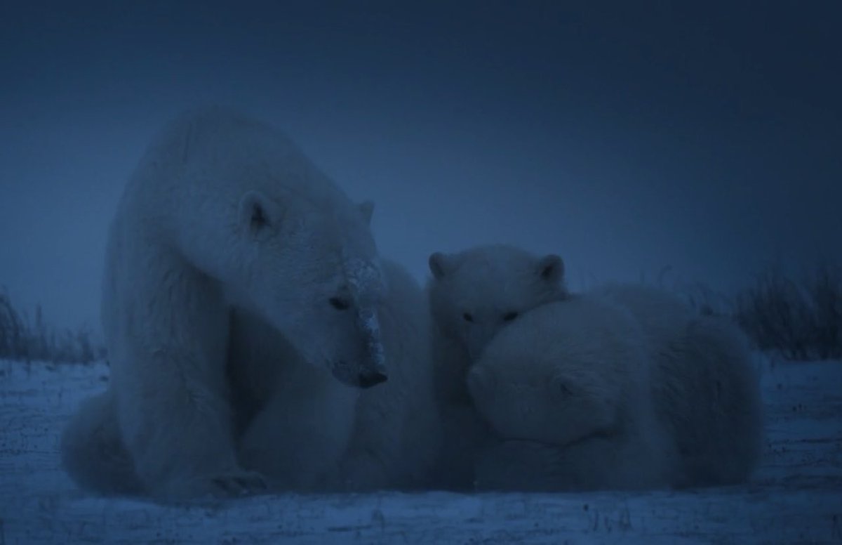 B for Bonita tweet media