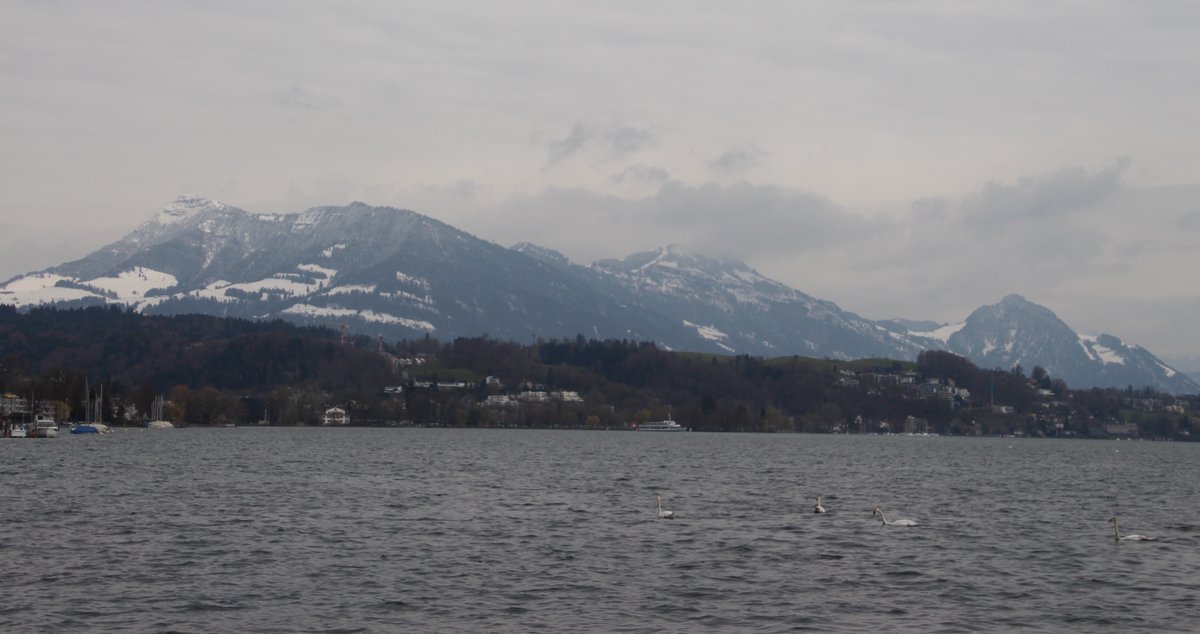 José Luis López F. tweet media